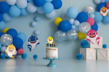 Phoenix Cake Smash Photography