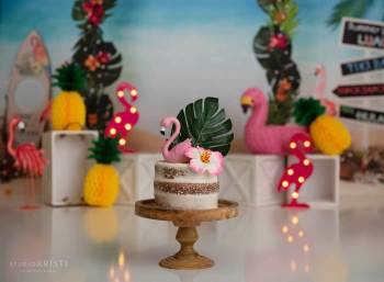 Phoenix Cake Smash Photography