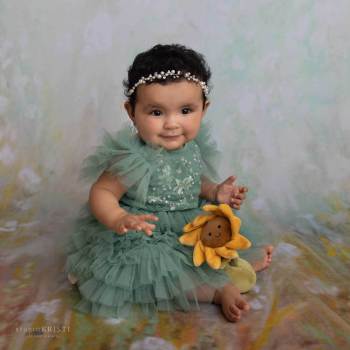 Phoenix Sitter Photography
