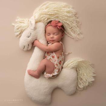 0-512-Llama-PhoenixNewbornPhotography-1L78per-1200x2-