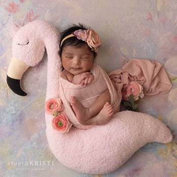 Phoenix Newborn Family Photography