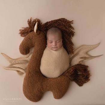 Phoenix Newborn Photography