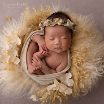 Phoenix Newborn Photography